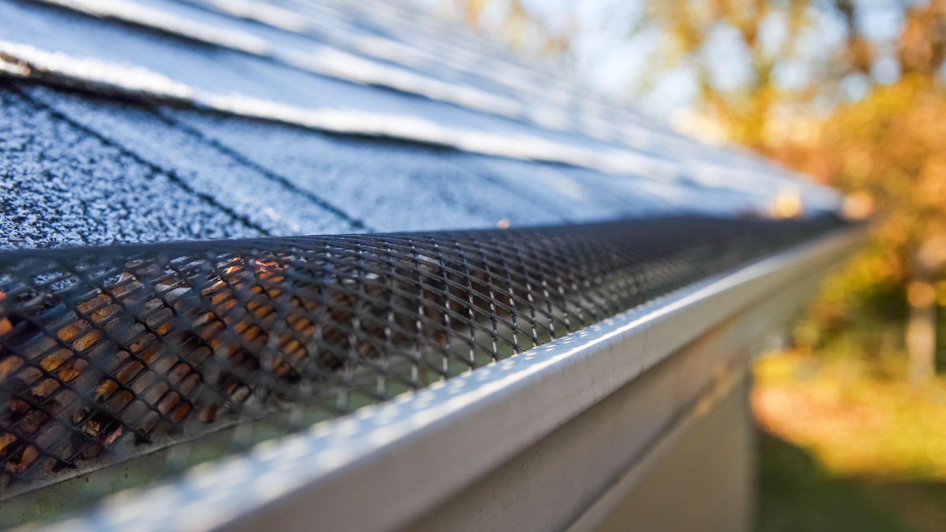 Gutter guard mesh covering roof gutter with blurred autumn background